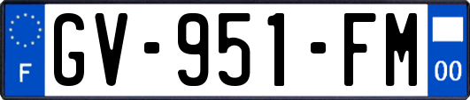 GV-951-FM