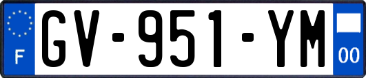 GV-951-YM