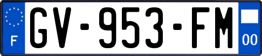 GV-953-FM
