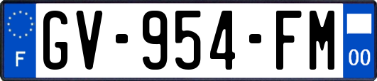 GV-954-FM