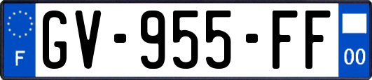 GV-955-FF