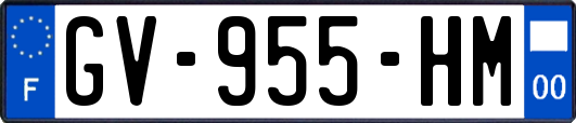 GV-955-HM
