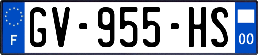 GV-955-HS