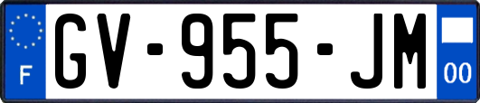 GV-955-JM