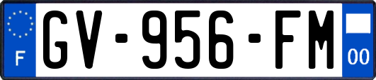 GV-956-FM