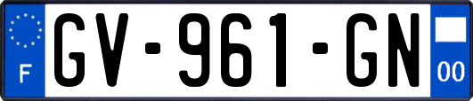 GV-961-GN