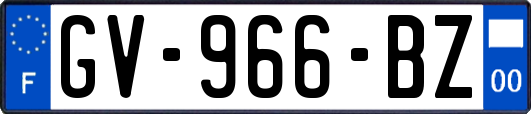 GV-966-BZ