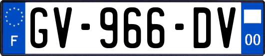GV-966-DV