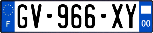 GV-966-XY