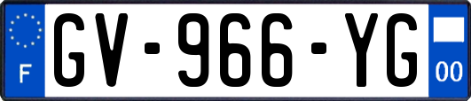 GV-966-YG