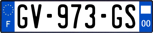 GV-973-GS