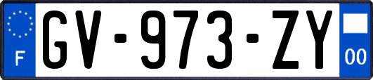 GV-973-ZY