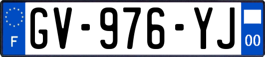 GV-976-YJ