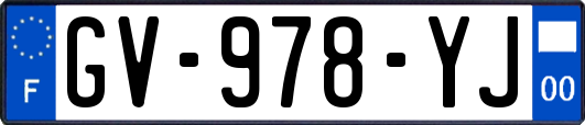 GV-978-YJ