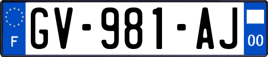 GV-981-AJ