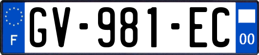 GV-981-EC