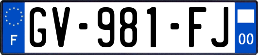GV-981-FJ