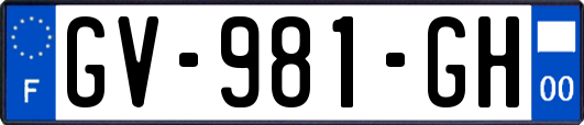 GV-981-GH