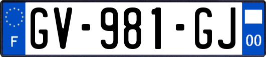 GV-981-GJ