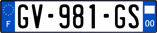 GV-981-GS