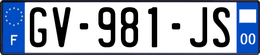 GV-981-JS