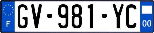 GV-981-YC