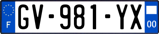 GV-981-YX