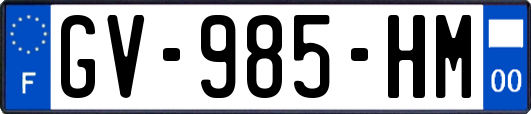 GV-985-HM