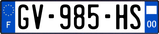 GV-985-HS