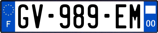 GV-989-EM