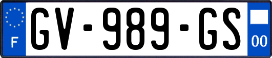 GV-989-GS
