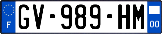 GV-989-HM
