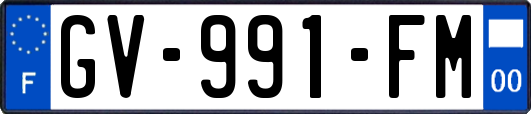GV-991-FM