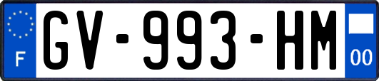 GV-993-HM