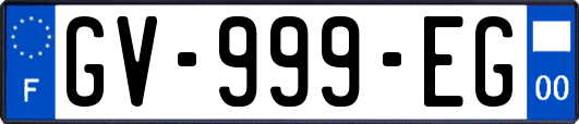 GV-999-EG