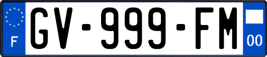 GV-999-FM