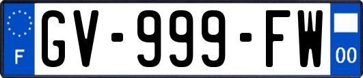 GV-999-FW