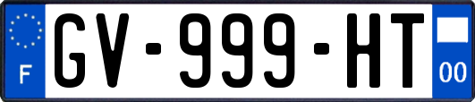 GV-999-HT