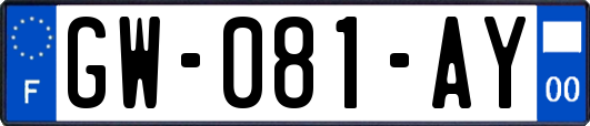 GW-081-AY