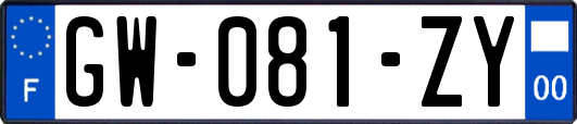 GW-081-ZY