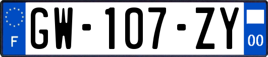 GW-107-ZY