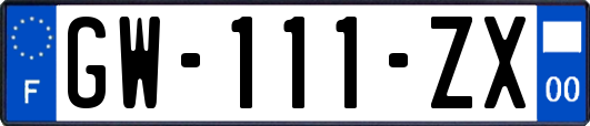 GW-111-ZX