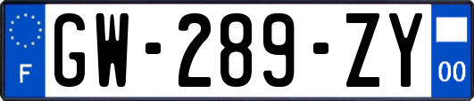 GW-289-ZY