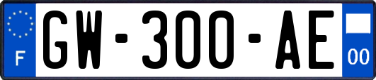 GW-300-AE