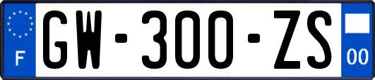 GW-300-ZS