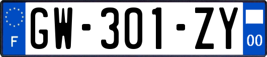 GW-301-ZY