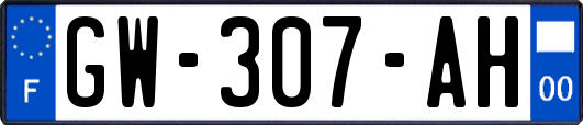 GW-307-AH