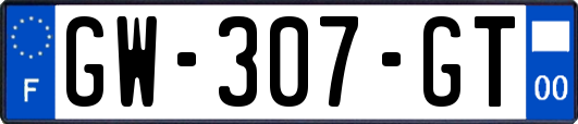 GW-307-GT