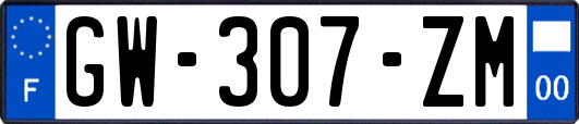 GW-307-ZM