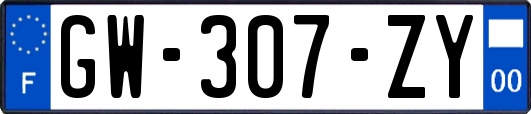 GW-307-ZY